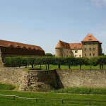 Die Wasserburg Heldrungen als Ausflugsziel nahe der Ferienwohnung.